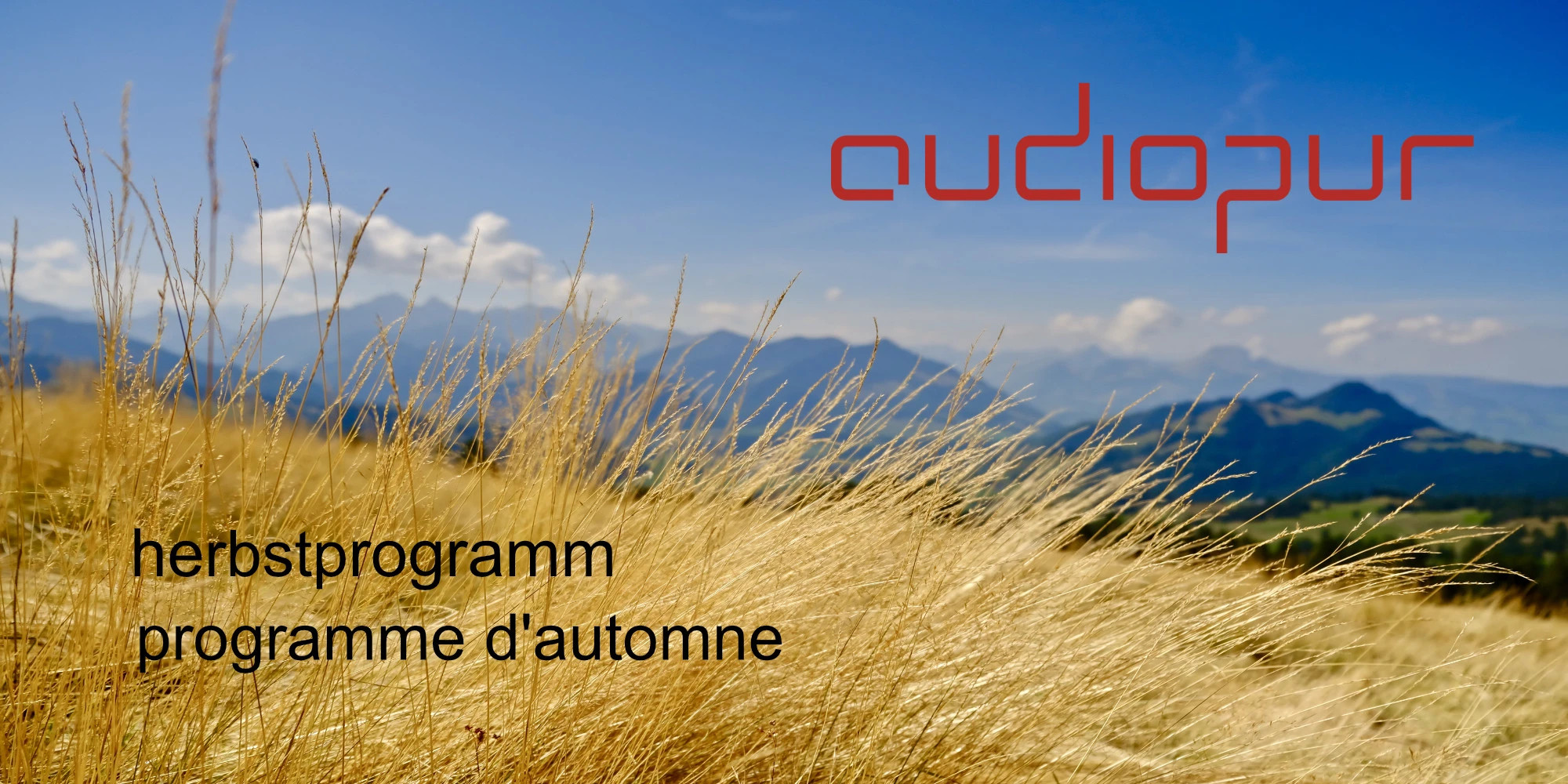 webseite-herbstprogrammbanner-2000x1000-crop.jpg
